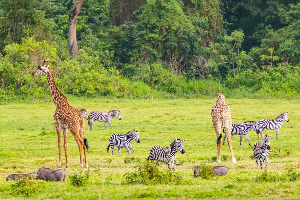 ARUSHA NATIONAL PARK