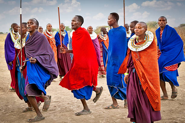 Maasai culture in Tanzania Maasai warriors performing traditional jumping dance in cultural ceremony wearing red shuka
