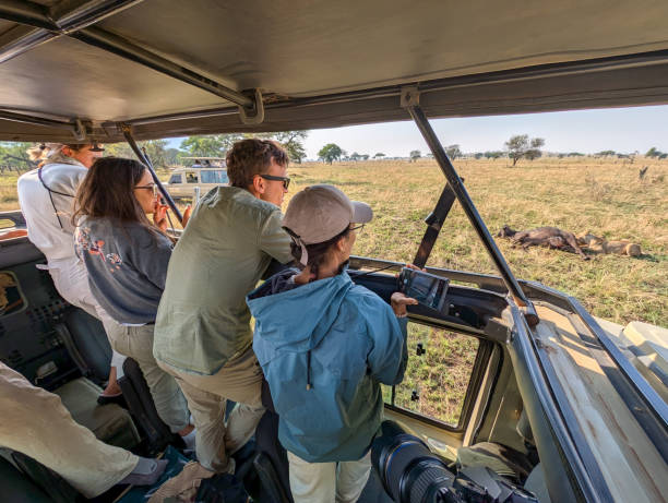 Tanzania safari cost tips – group safari tourists photographing lions feeding on a buffalo in Serengeti National Park